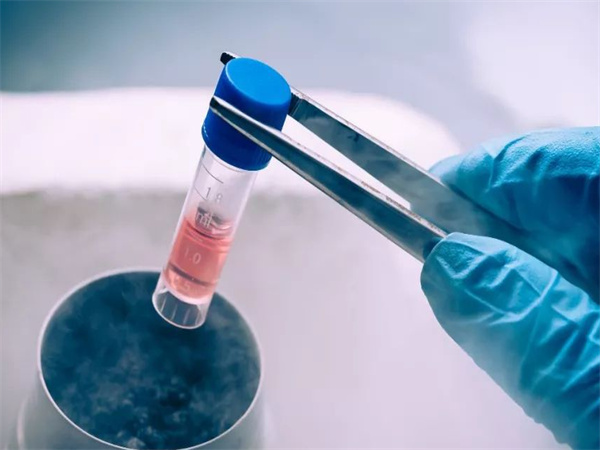 美国 vs 中国试管婴儿：周期、费用、成功率全方位对比